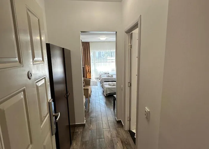 Ave Victoriei ホテル 3*