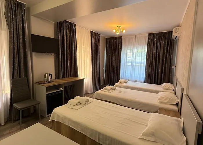 ホテル Ave Victoriei 3*