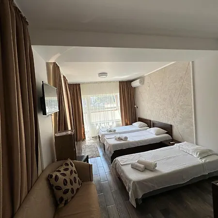 酒店 胜利广场阿维酒店 3*