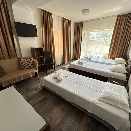 Ave Victoriei Otel 3*